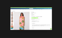 Koibird desktop website design mockup product page - client of long story short design agency