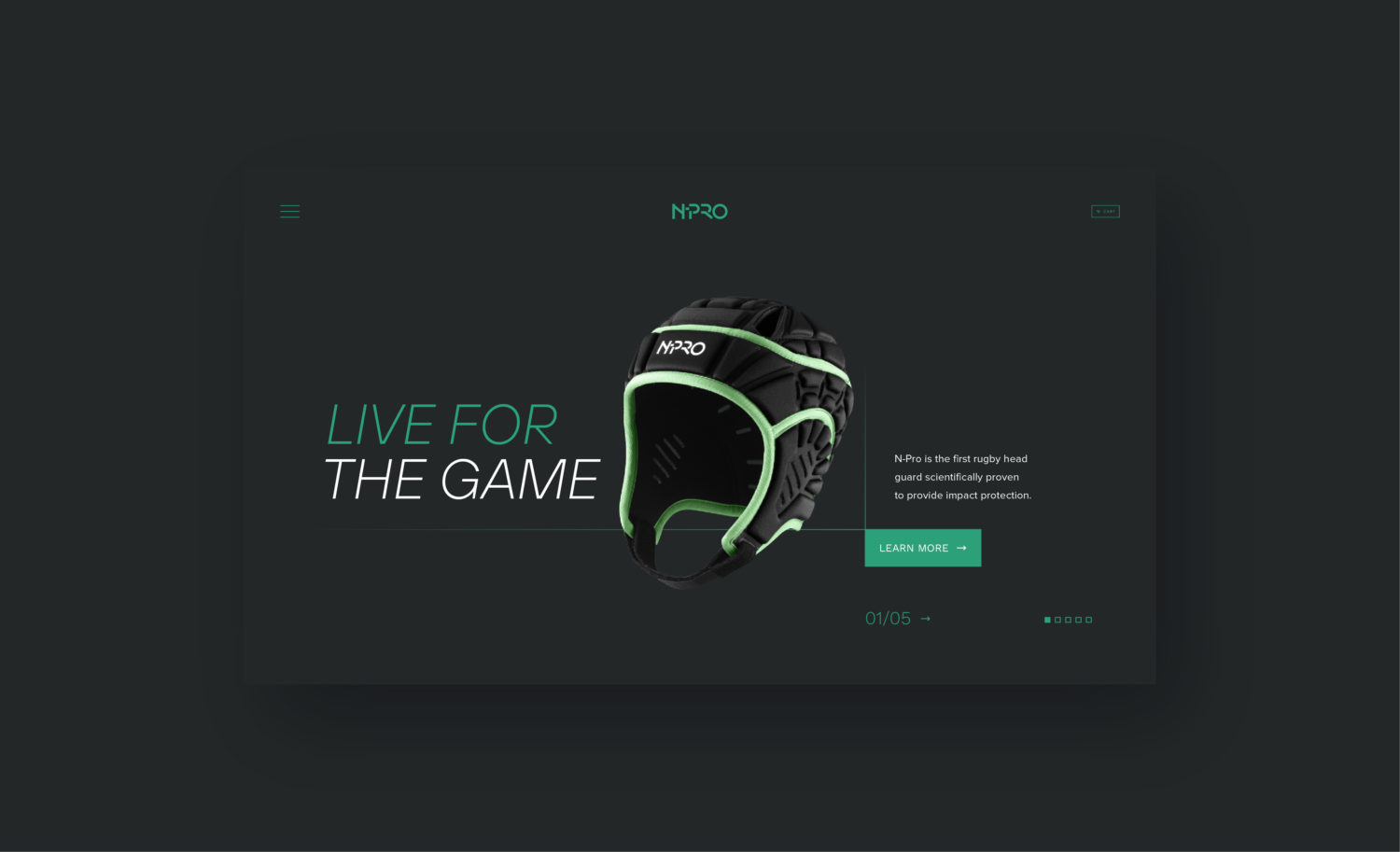 N-Pro client - desktop UI website designs for landing page