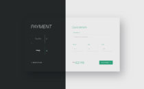 N-Pro client - payment page desktop UI design